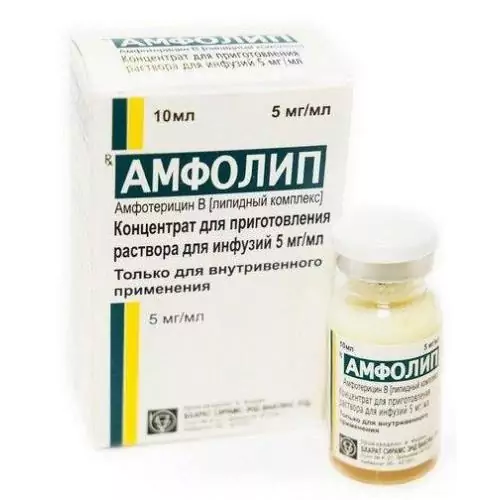 Амфолип конц д/р-ра д/инфуз. 5мг/мл фл 10мл N1(Амфотерицин b)